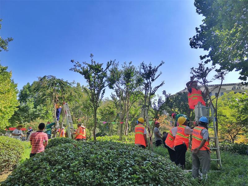 华亿网页版承办全市住建系统园林绿化工职业技能大赛